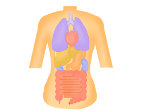 横浜市都筑区中川／センター北／青葉区あざみ野で整体院なら【ヒーリングオフィスあすとらむ】頭痛、めまい、耳鳴り、腰痛、坐骨神経痛、生理痛、更年期障害、マタニティ整体、産後骨盤ケアを得意とする整体院です。不調を体質から根本改善します。