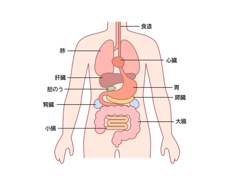 横浜市都筑区中川／センター北／青葉区あざみ野で整体院なら【ヒーリングオフィスあすとらむ】頭痛、めまい、耳鳴り、腰痛、坐骨神経痛、生理痛、更年期障害、マタニティ整体、産後骨盤ケアを得意とする整体院です。不調を体質から根本改善します。
