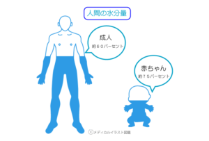 横浜市都筑区中川／センター北／青葉区あざみ野で整体院なら【ヒーリングオフィスあすとらむ】頭痛、めまい、耳鳴り、腰痛、坐骨神経痛、生理痛、更年期障害、マタニティ整体、産後骨盤ケアを得意とする整体院です。不調を体質から根本改善します。