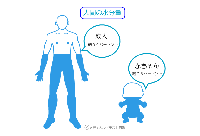 横浜市都筑区中川／センター北／青葉区あざみ野で整体院なら【ヒーリングオフィスあすとらむ】頭痛、めまい、耳鳴り、腰痛、坐骨神経痛、生理痛、更年期障害、マタニティ整体、産後骨盤ケアを得意とする整体院です。不調を体質から根本改善します。